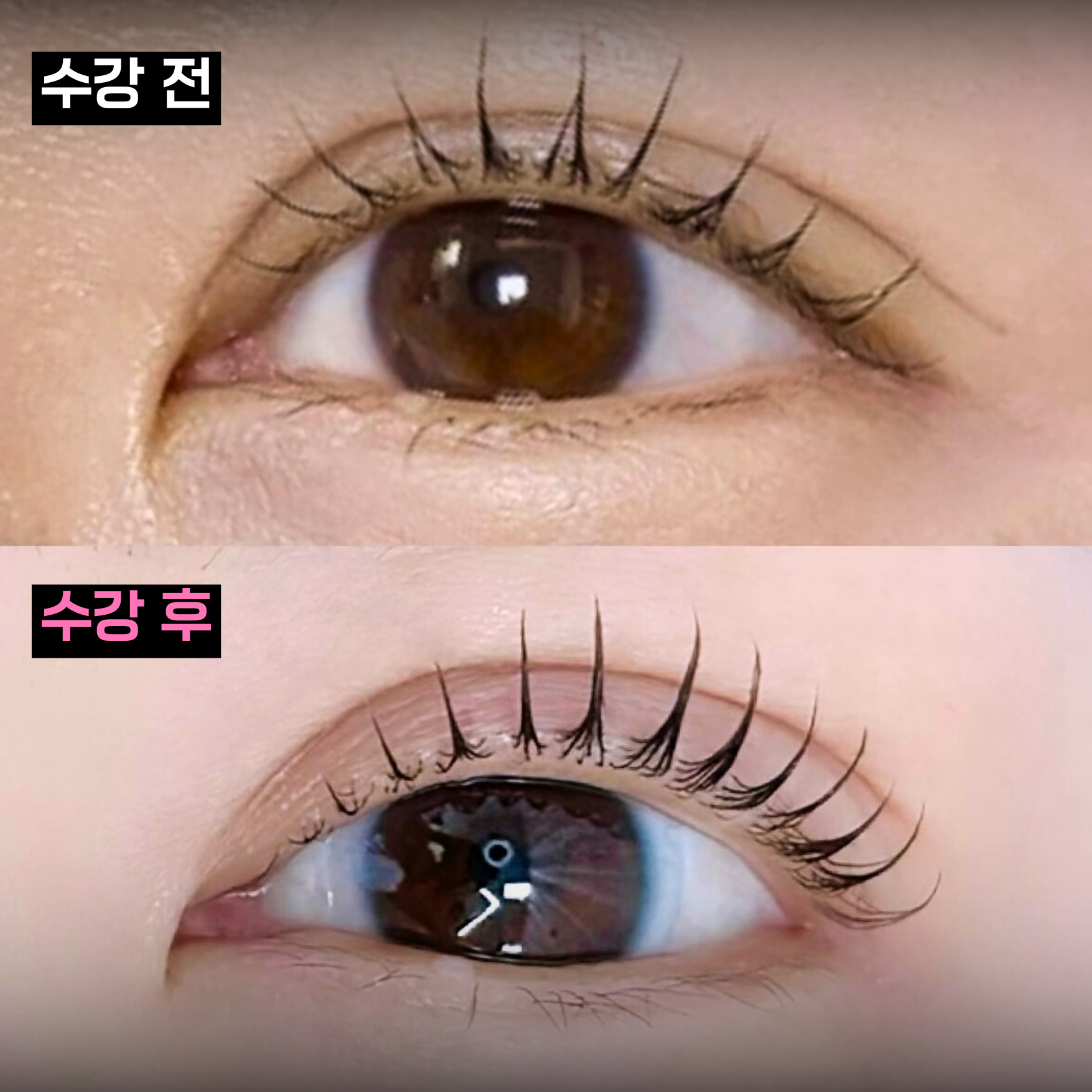 수강생 Before & After 6